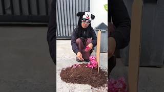 Download lagu EARTH MOUND | HILARIOUS TIKTOK NURRAYNI25 #drama #comedy mp3