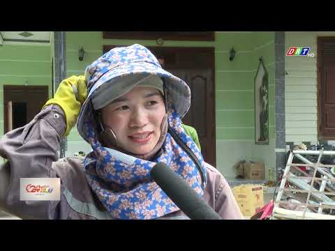 cay-lam-giau-o-yang-mao