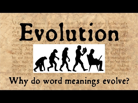 Why Do Word Meanings Evolve? Evolution & Semantic Change