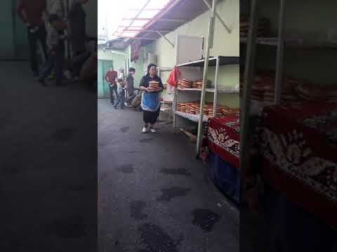 шарманда умида новой
