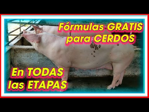 , title : 'CERDOS Fórmulas ALIMENTICIAS GRATIS para TODAS las ETAPAS ǀ Ing. Jannin Hernández Blandón'