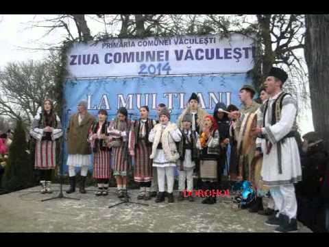Ziua comunei Vaculesti 2014_Brosteni