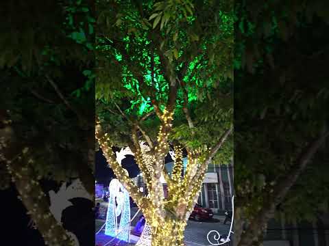 Areia-PB a princesa do brejo paraibano. #balnearios #caminhoparaumavidamelhor #natal