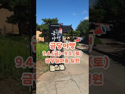 금당야행 첫째날 현장 스케치