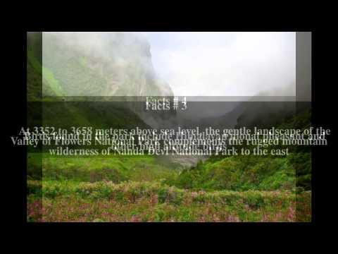 Valley of Flowers National Park Top # 5 Facts