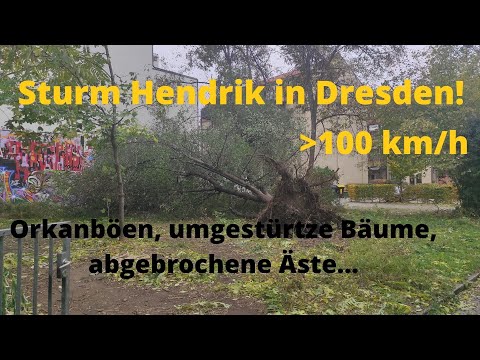 Sturm Hendrik bringt Orkanböen und kleinere Schäden nach Dresden!