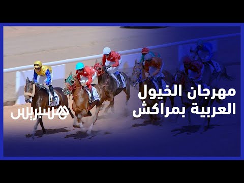 مراكش تحتضن فعاليات مهرجان سباقات سمو الشيخ منصور بن زايد آل نهيان للخيول العربية الأصيلة