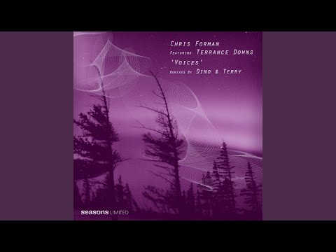 Voices (feat. Terrance Downs) (Dino & Terry Crash Insturmental Mix)