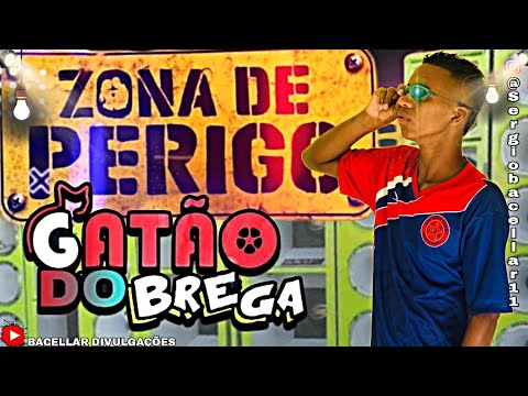 GATÃO DO BREGA -  Zona de Perigo - Vem Deslizando (MÚSICA OFICIAL)