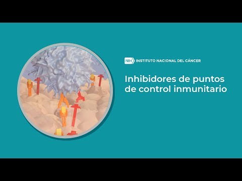 immune checkpoint inhibitors-Spanish