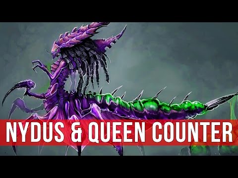 StarCraft 2: The Nydus & Queen Counter! (Game Analysis)