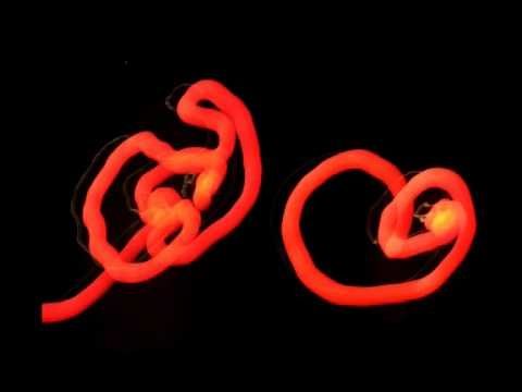 "lucirco" mostra fotografica di Pietro Annicchiarico a Bologna