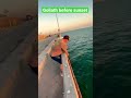 Goliath before sunset 🌅 skyway fishing 🎣 piers