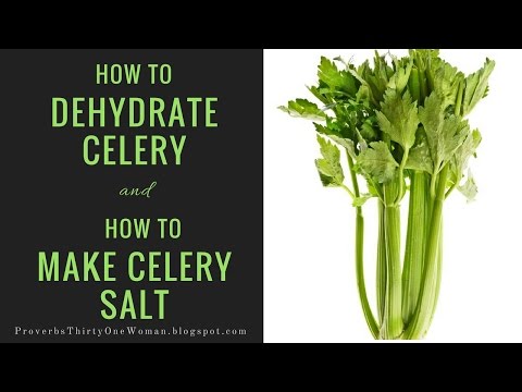 download lagu mp3 mp4 Drying Celery Leaves Dehydrator, download lagu Drying Celery Leaves Dehydrator gratis, unduh video klip Drying Celery Leaves Dehydrator
