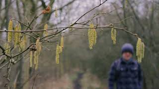 the first signs of spring