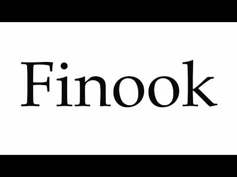How to Pronounce Finook