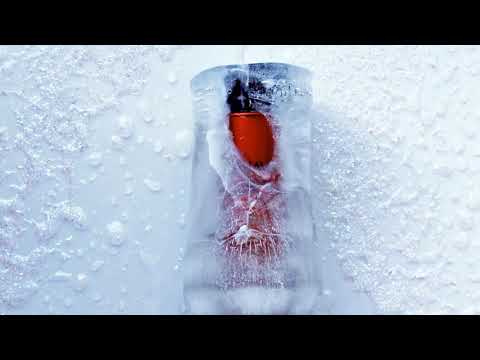 אנדריי ניימן אולגה ליבשיץ