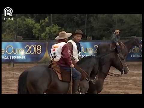 Região Sul – 4° e 5° lugar machos – Guerreiro do Rolador e Furacão do Ribeirão Bonito (Campo II)