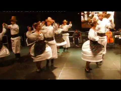 Ansamblul Folcloric Doina Aiudului - Joc Codru