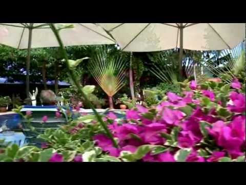download lagu mp3 mp4 Blue Privacy Paradise, download lagu Blue Privacy Paradise gratis, unduh video klip Blue Privacy Paradise