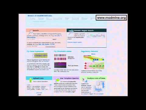 modENCODE: Data and Tools for the Community - Gos Micklem