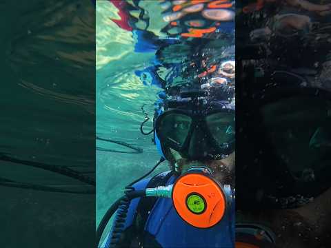 La Ciénaga de Zapata sigue dando mucho oro #cuba #detecciondemetales ##metaldetecting #cubahoy