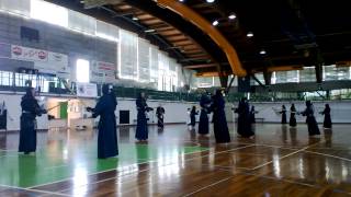 preview picture of video 'Jigeiko at Kanzaki Kendo Seminar - Calcinato 2013 [01]'