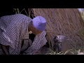 K.O PRIP DIIP-SOIRÉE NDIAGO feat BM JAAY (official video)