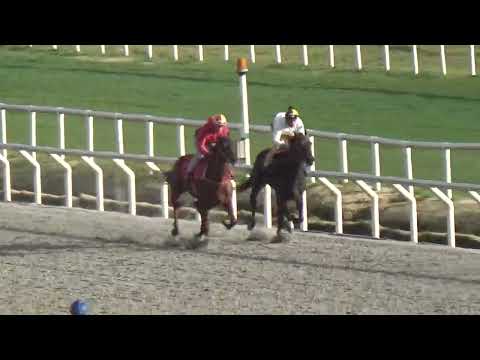 OLYMPIC NORWICH-REVISTA INVASOR