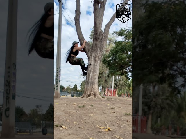 Vídeo relacionado con Salomon Everyday Low Pack 3 calcetines, comodidad algodón mezcla, puño bajo invisible, ajuste sensible natural