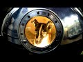 What Happened to Laika in Space? *The Space Dog* What Happened to Laika in Space? *The Space Dog*