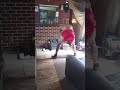 home workout deadlift 225 pounds