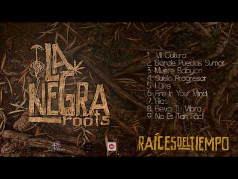 La Negra Roots - Donde Puedas Sumar