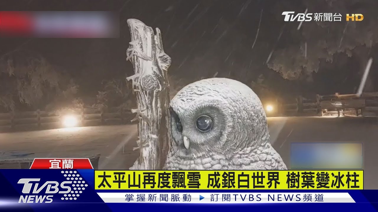 太平山再度飄雪 成銀白世界樹葉變冰柱