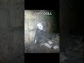 Creepiest Things Discovered In Abandoned Buildings Shorts