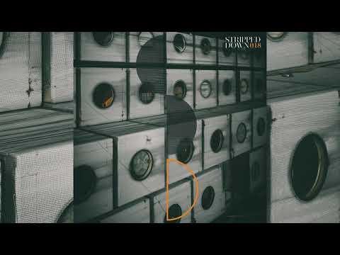 Timo Maas feat. Rottler - Utopie (Claudio Ricci Remix)