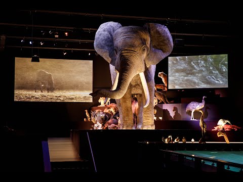 Naturalis Biodiversity Center, The European Museum of the Year - 2021