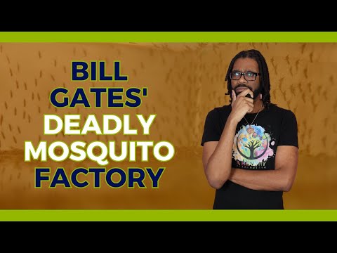 Bill Gates Deadly Mosquito Factory