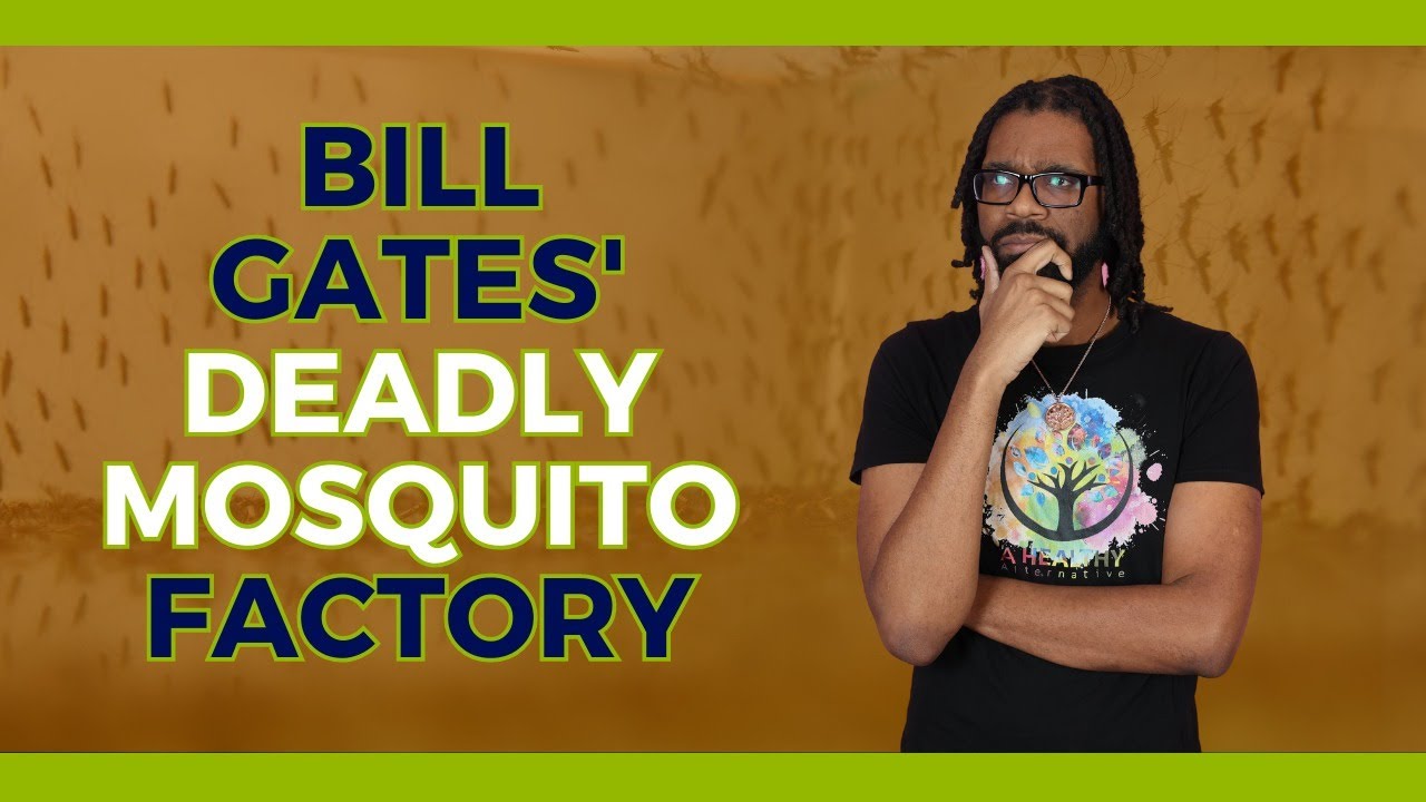 Bill Gates Deadly Mosquito Factory