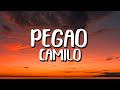 Camilo - Pegao (Letra/Lyrics)