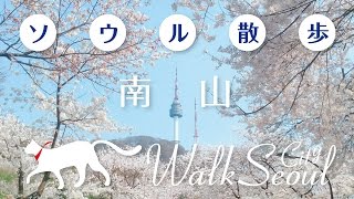 ［ソウル散歩］南山 Walk Seoul Namsan