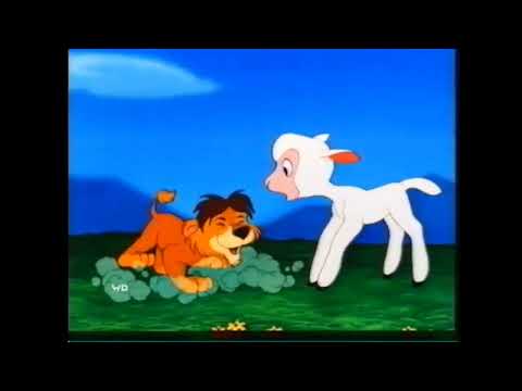 29 maggio 2025(41) lambert leone tenerone