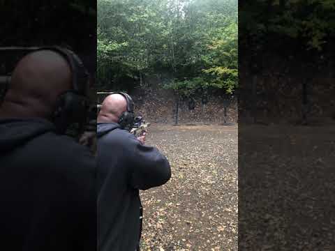 Firebird 50BIO Reactive Target Review
