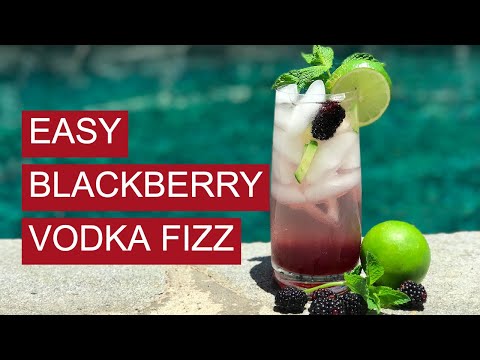 Blackberry Vodka Fizz | Easy Cocktail Recipe!
