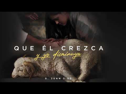 David de Jesús - QUE ELE CRESÇA (Versión Español) ft. Israel Bazán