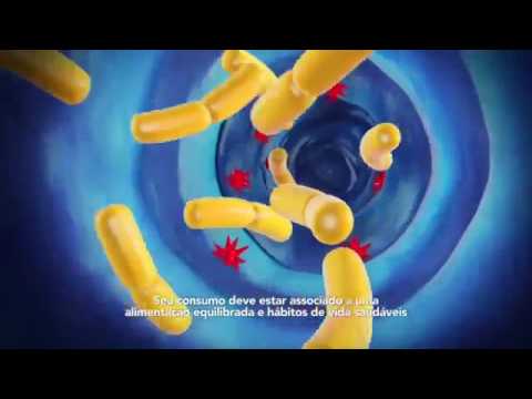 Yakult - Eloisa Mendes e Wellington de Jesus