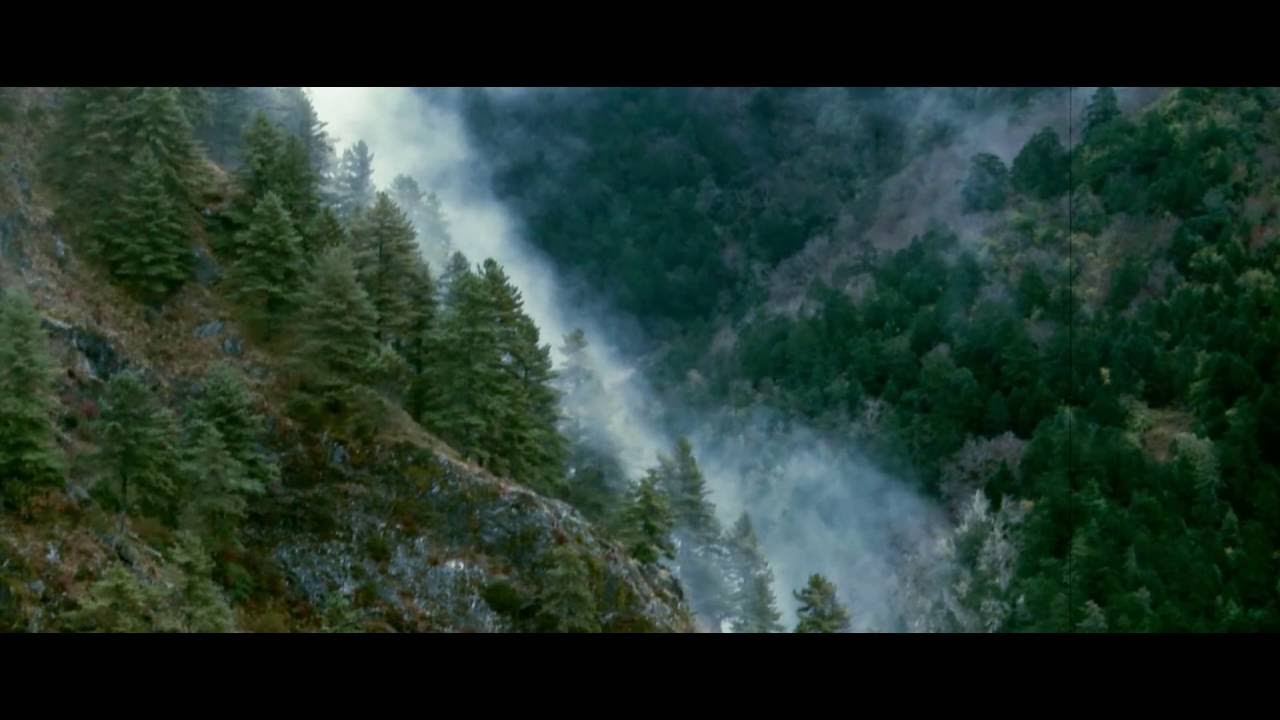 A Director's Cut: Monsters in the Woods