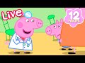 LIVE Peppa Pig S Learning Adventures Peppa S Playgroup Little Learners Kids Cartoons