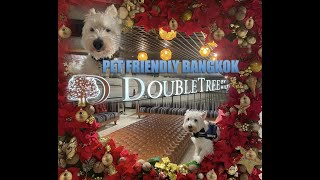PET FRIENDLY HOTEL BANGKOK | DOUBLETREE HILTON SUKHUMVIT