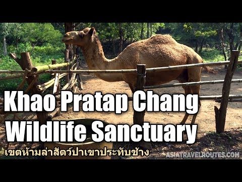 Khao Prathap Chang Wildlife Sanctuary